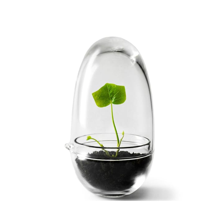 Grow dyrkningsglas - lille Ø8 cm - Design House Stockholm