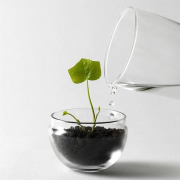 Grow dyrkningsglas - lille Ø8 cm - Design House Stockholm