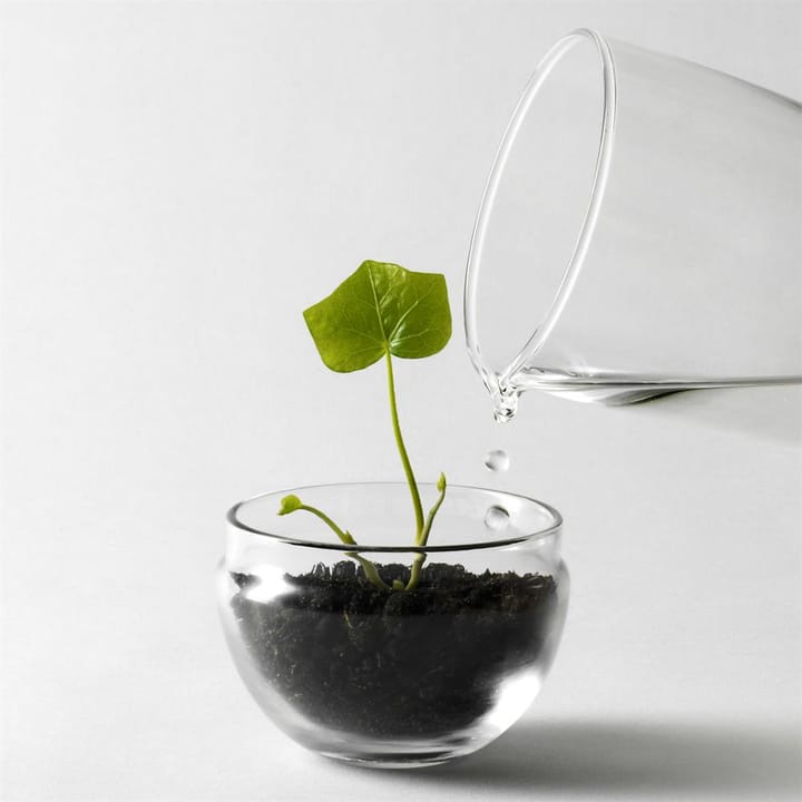 Grow dyrkningsglas, lille Ø8 cm Design House Stockholm