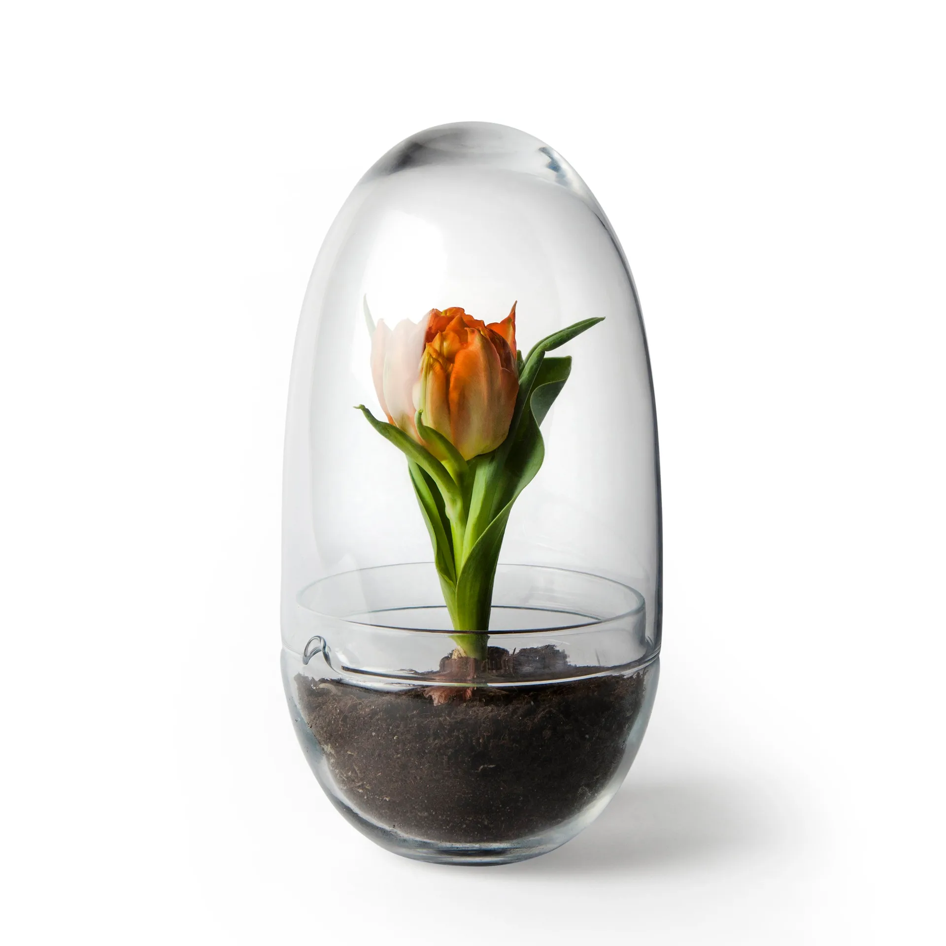 Grow dyrkningsglas, Medium Ø11 cm Design House Stockholm
