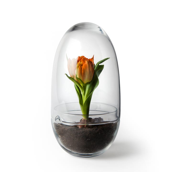 Grow dyrkningsglas - Medium Ø11 cm - Design House Stockholm