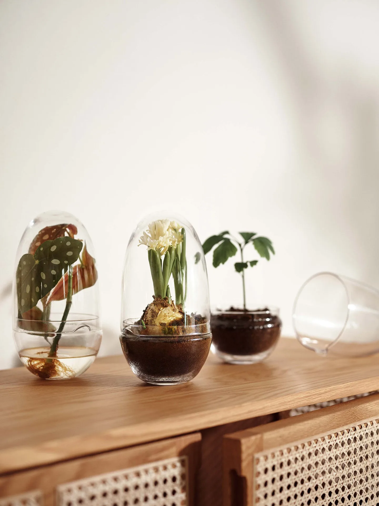 Grow dyrkningsglas, Medium Ø11 cm Design House Stockholm