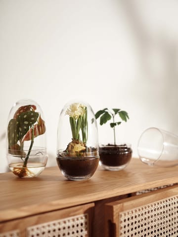Grow dyrkningsglas - Medium Ø11 cm - Design House Stockholm