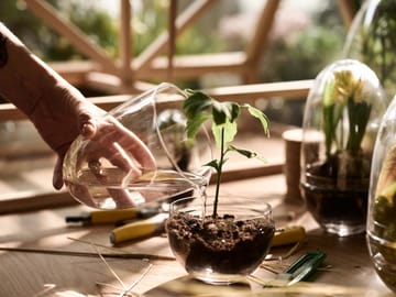 Grow dyrkningsglas - Medium Ø11 cm - Design House Stockholm