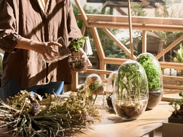 Grow dyrkningsglas - Medium Ø11 cm - Design House Stockholm