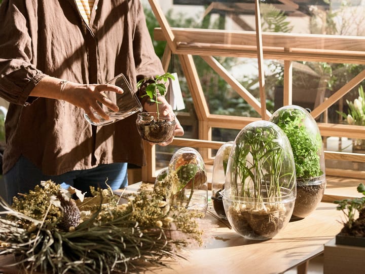 Grow dyrkningsglas, Medium Ø11 cm Design House Stockholm