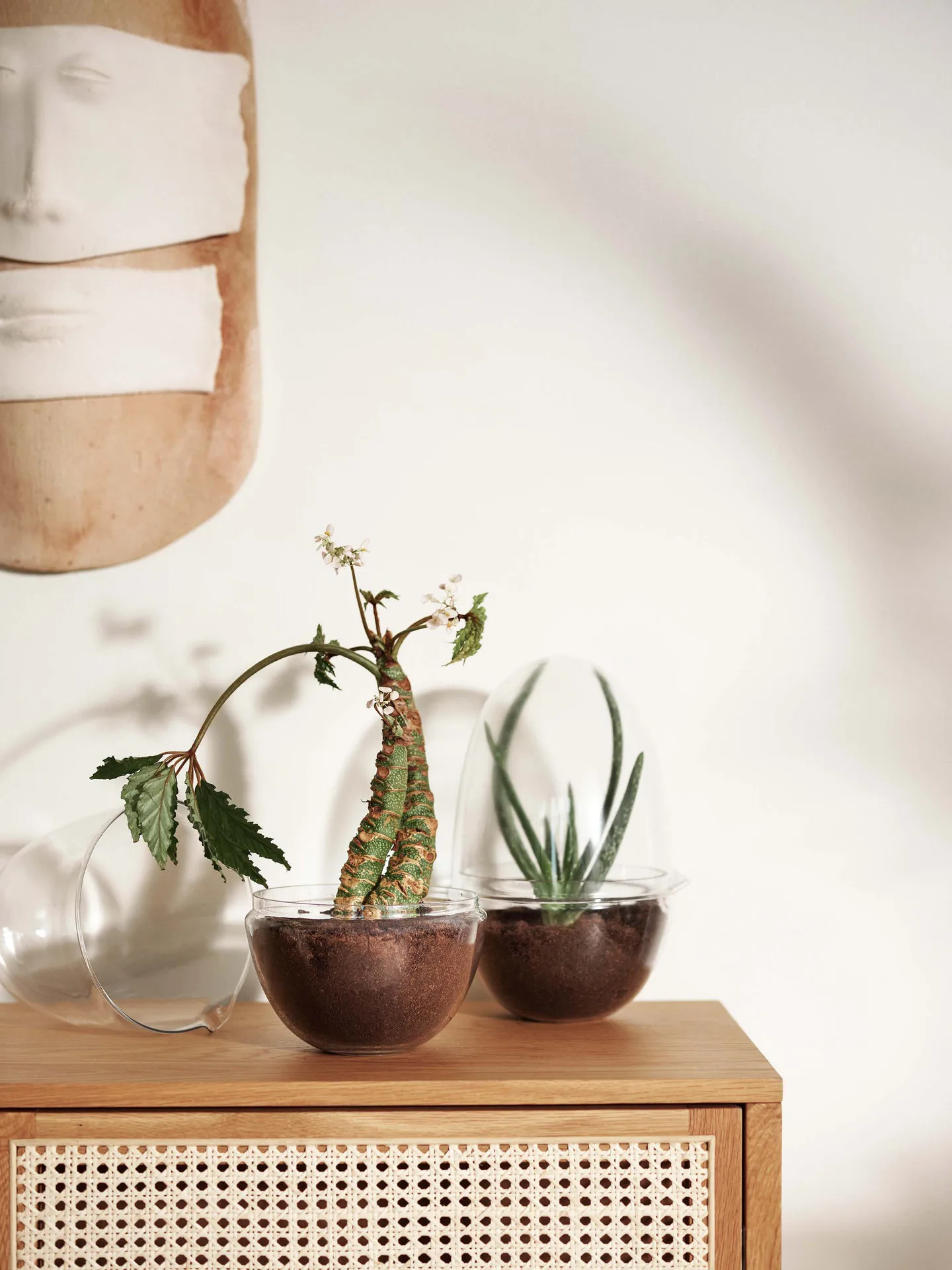 Grow dyrkningsglas, x-large Ø20 cm Design House Stockholm