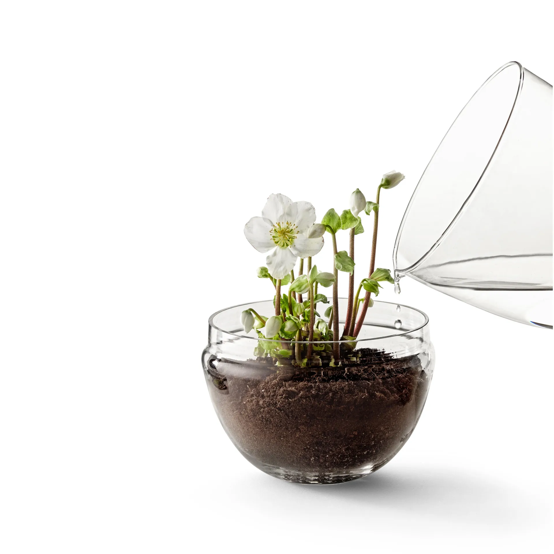 Grow dyrkningsglas, x-large Ø20 cm Design House Stockholm