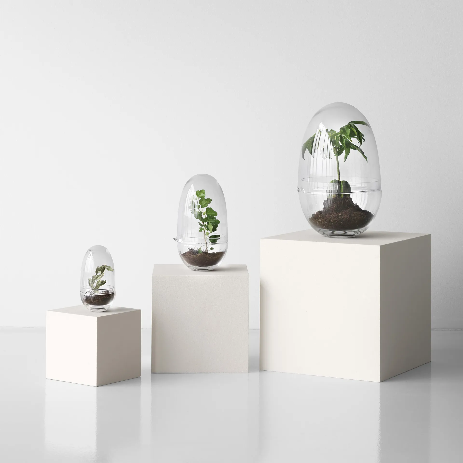 Grow dyrkningsglas, x-large Ø20 cm Design House Stockholm