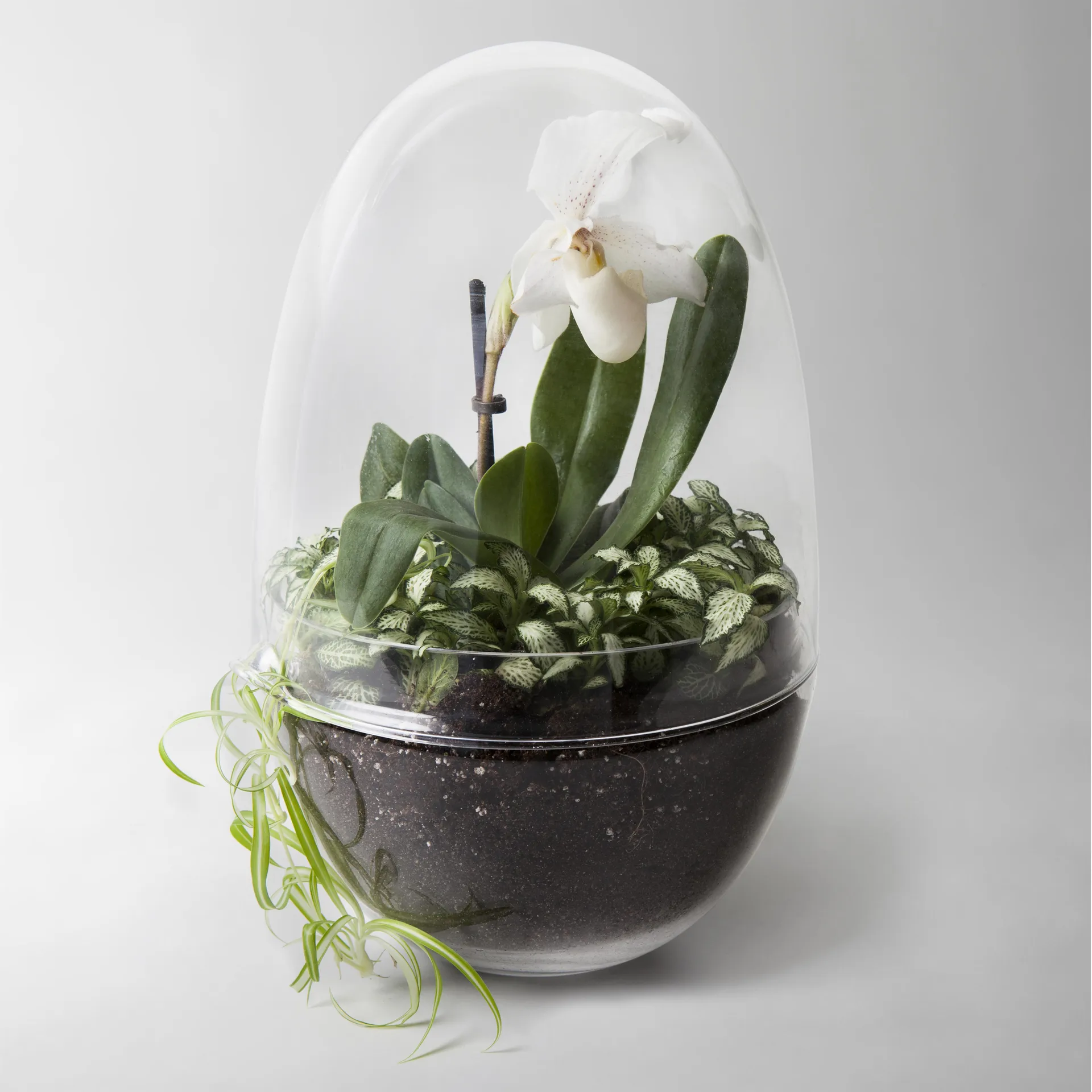 Grow dyrkningsglas, x-large Ø20 cm Design House Stockholm