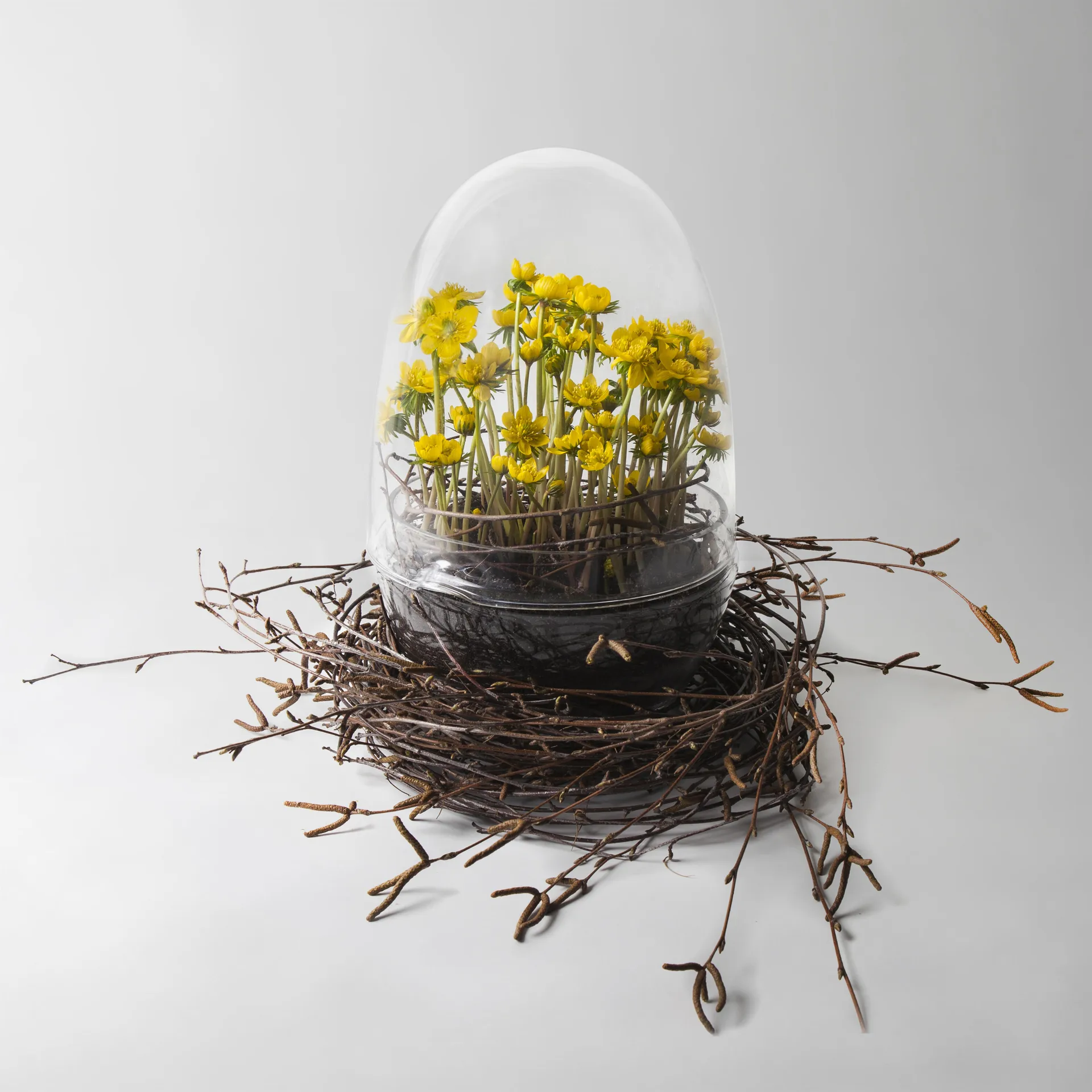 Grow dyrkningsglas, x-large Ø20 cm Design House Stockholm