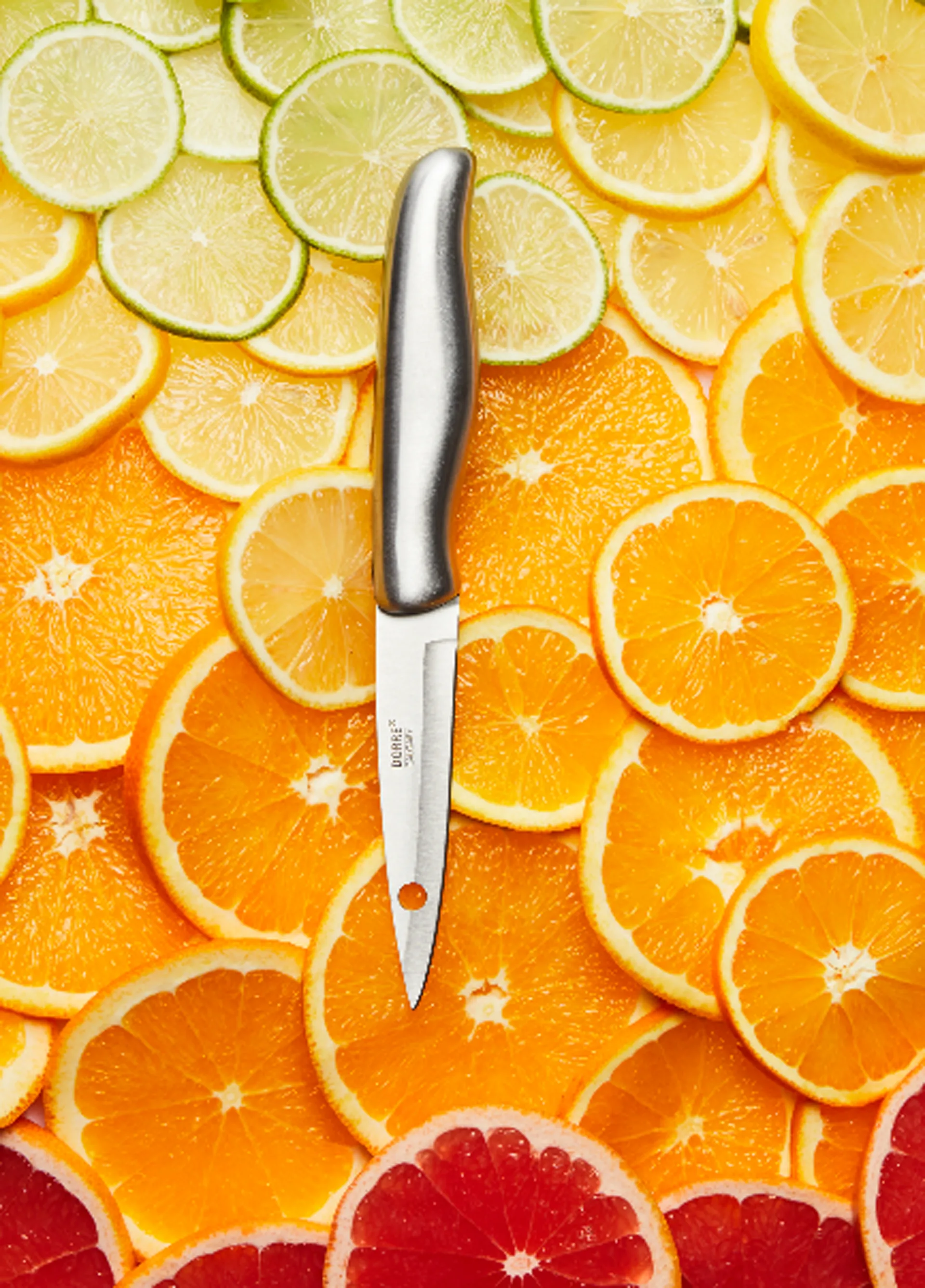 Calgary knivsæt 5 dele, Rustfrit stål  Dorre