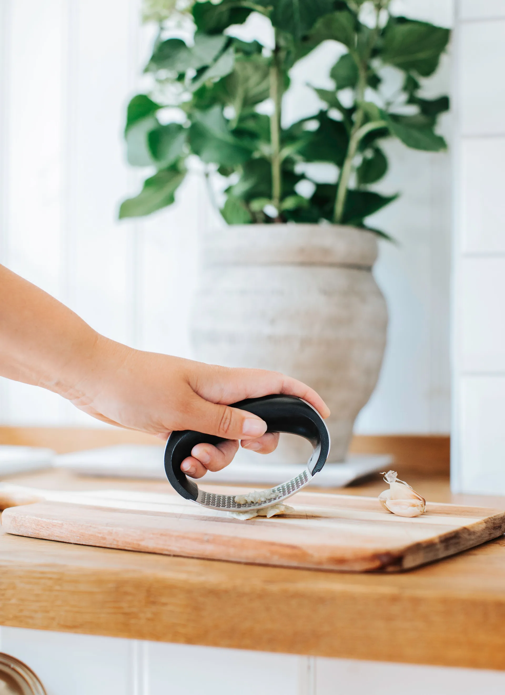 Garli hvidløgspresser, Rustfrit stål  Dorre