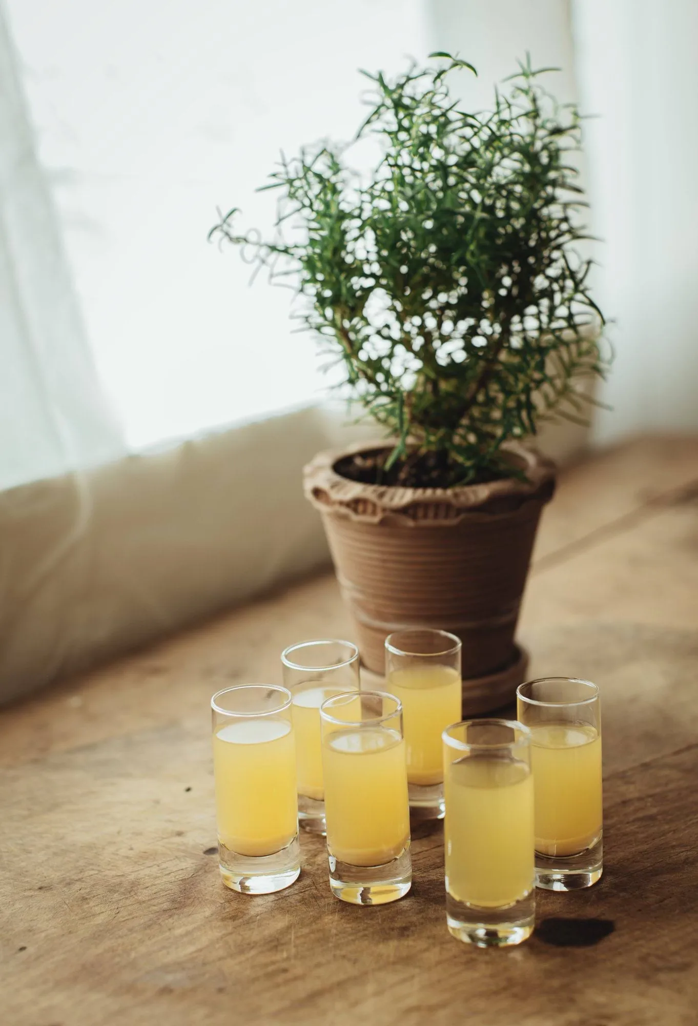 Saba snapseglas, Raka, 6-pak, 6 cl Dorre