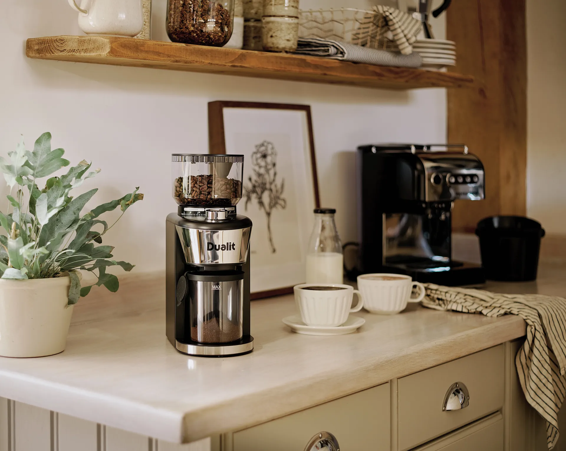 Dualit kaffekværn 31 cm, Sort Dualit