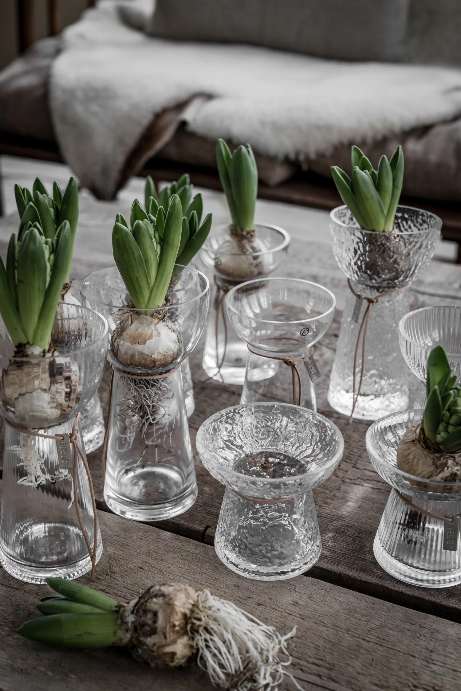 Ernst løgvase stribet, 15 cm ERNST