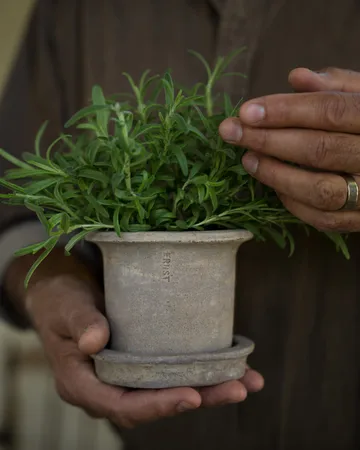 Ernst terrakotta krukke med underskål - Ø12×10 cm - ERNST