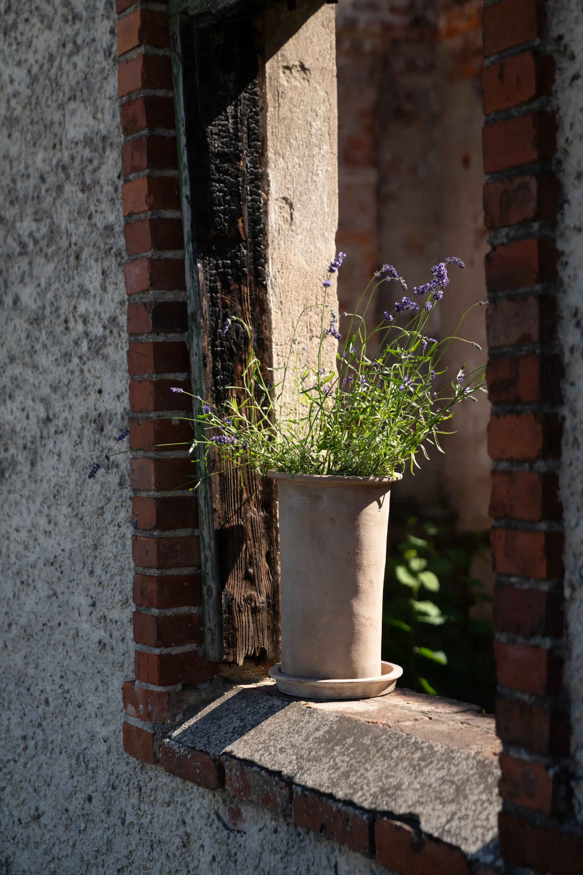 Ernst terrakotta krukke med underskål, Ø25x35 cm ERNST