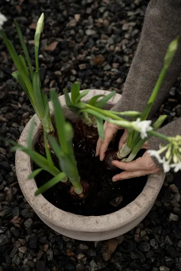 Ernst terrakotta krukke med underskål - Ø33×12 cm - ERNST