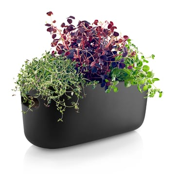 Eva Solo selvvandende herb organiser - Sort - Eva Solo
