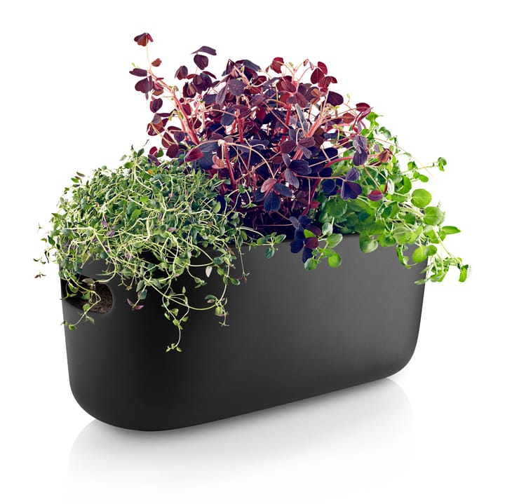 Eva Solo selvvandende herb organiser, Sort Eva Solo
