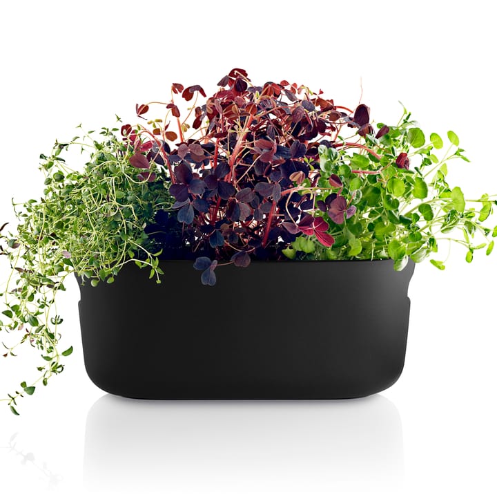 Eva Solo selvvandende herb organiser, Sort Eva Solo
