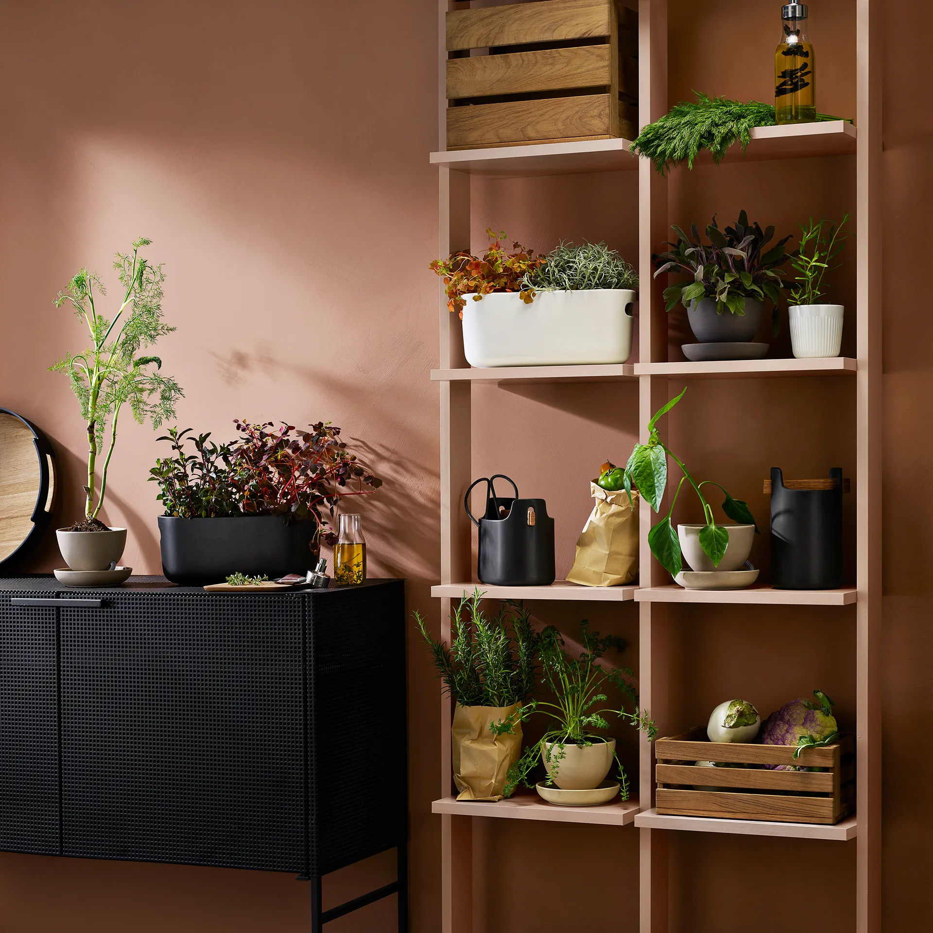 Eva Solo selvvandende herb organiser, Sort Eva Solo