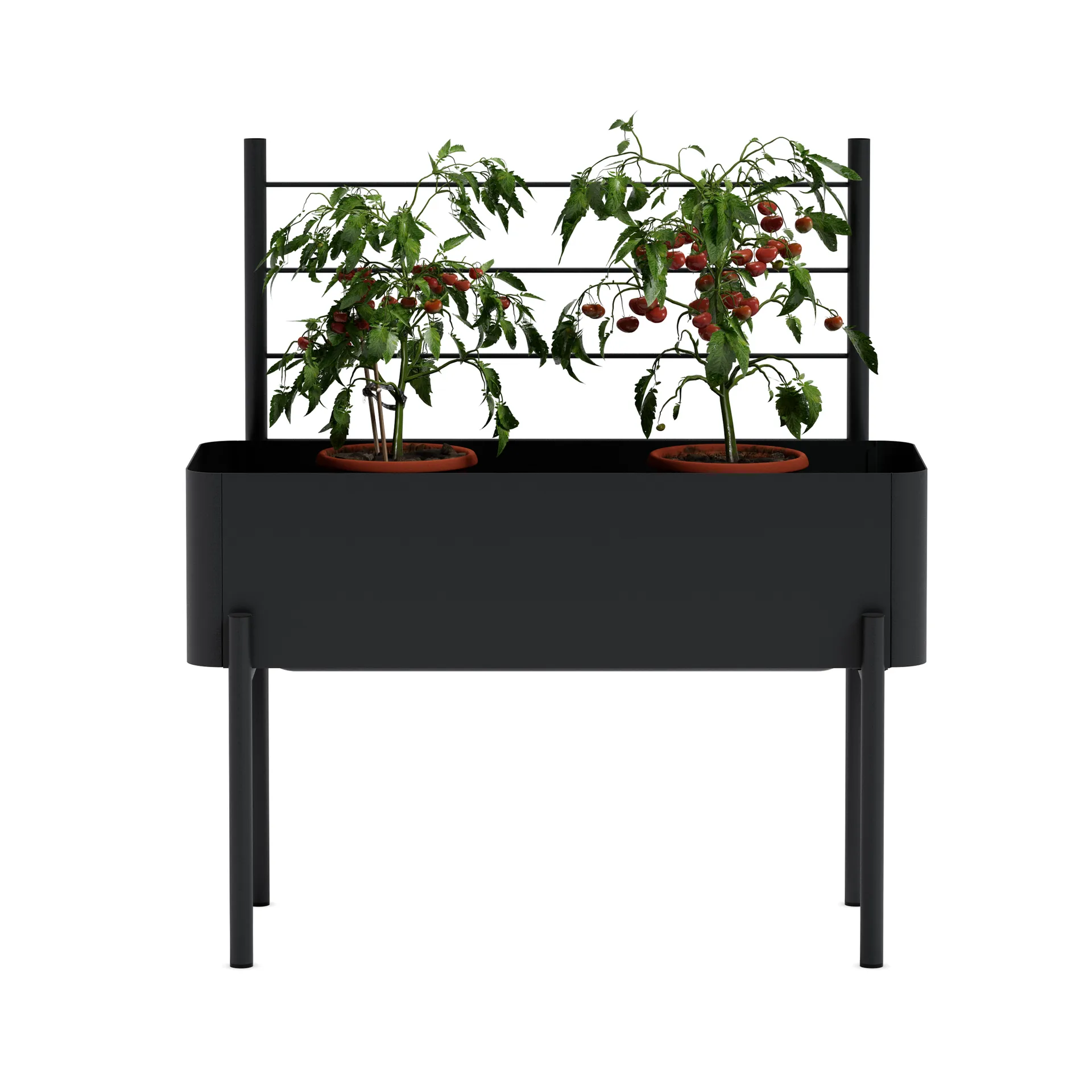 Simply Grow espalier til plantekasse, Black Eva Solo