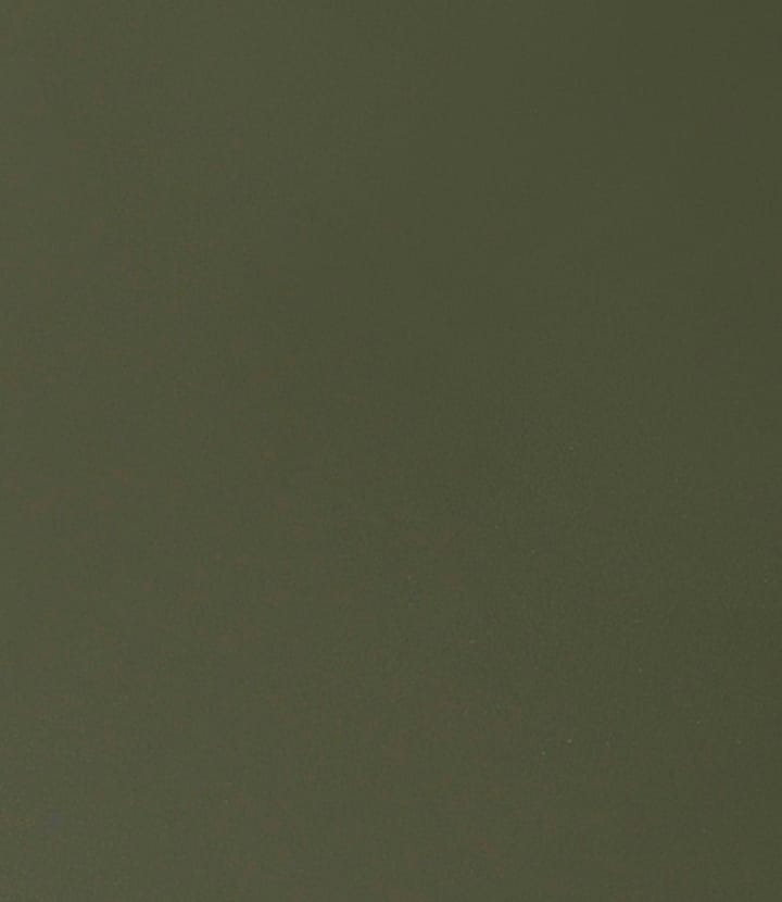 C35B spisebord 82x160 cm, Olive green-oak nature lacquered FDB Møbler