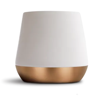 Big Jo' Double Wall Ceramic Mug 12oz 35 cl - White - Fellow