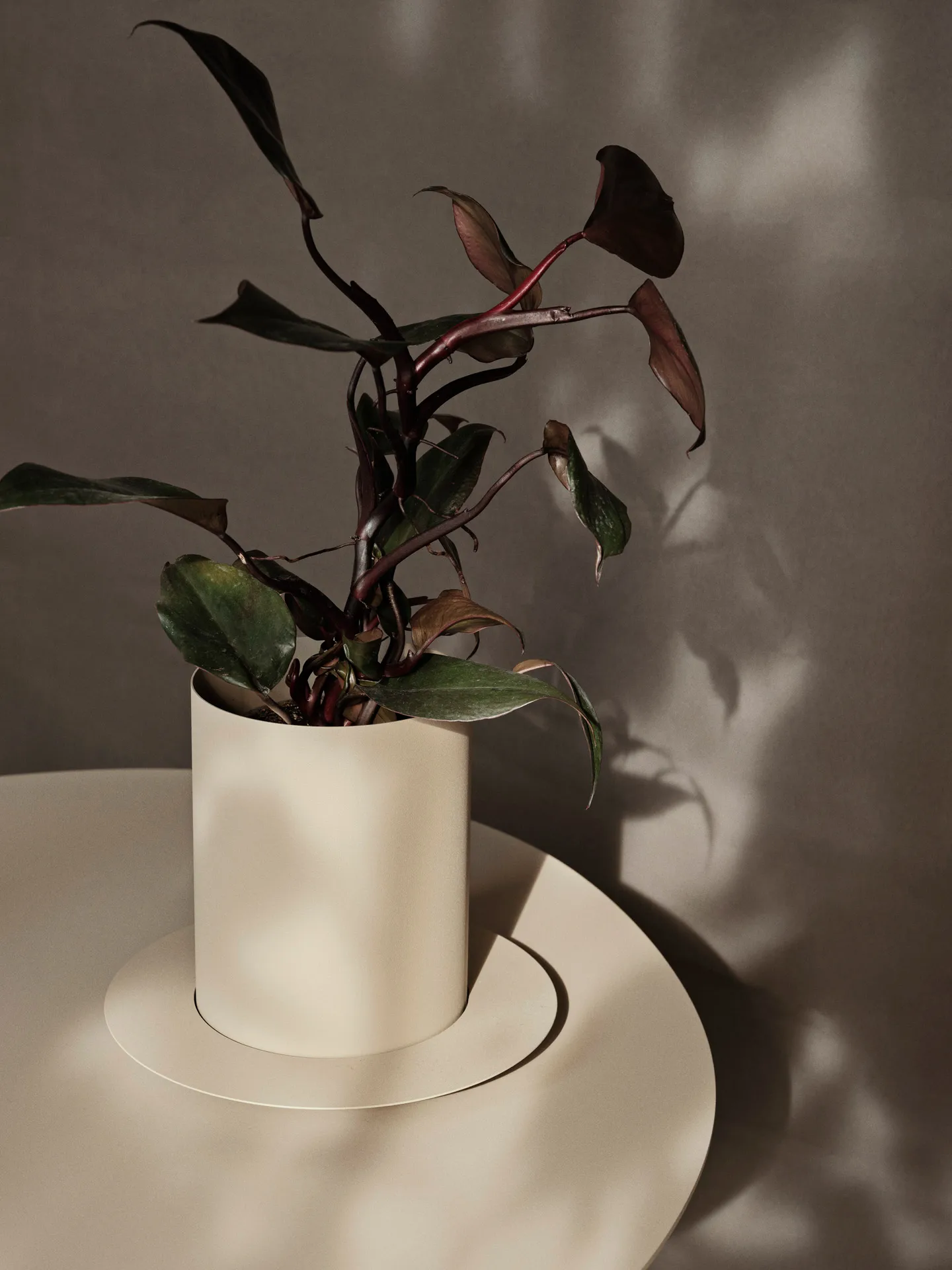 Auran urtepotte small 21 cm, Cashmere Ferm Living