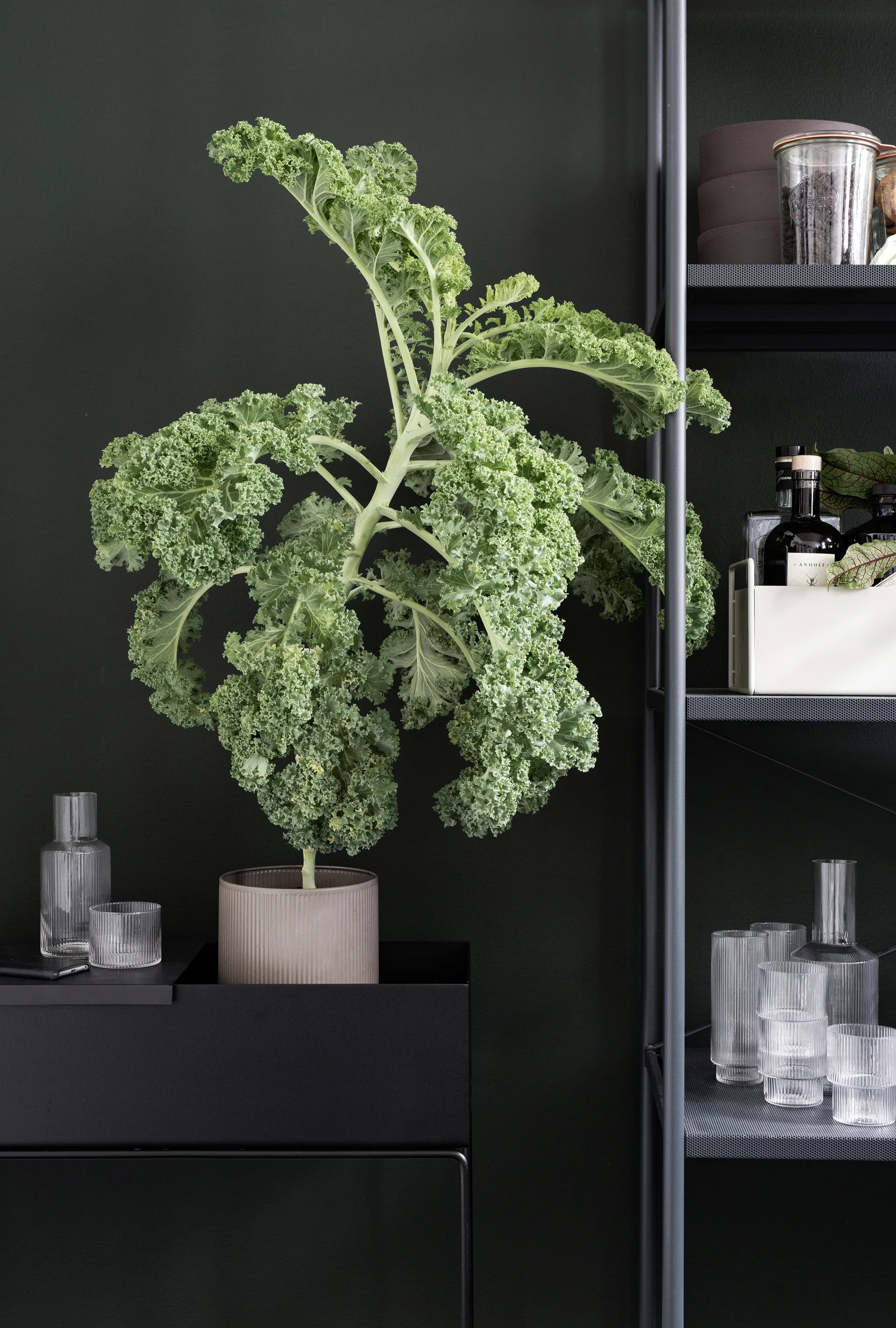 ferm LIVING Plant box, sort Ferm Living