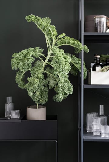 ferm LIVING Plant box - sort - ferm LIVING