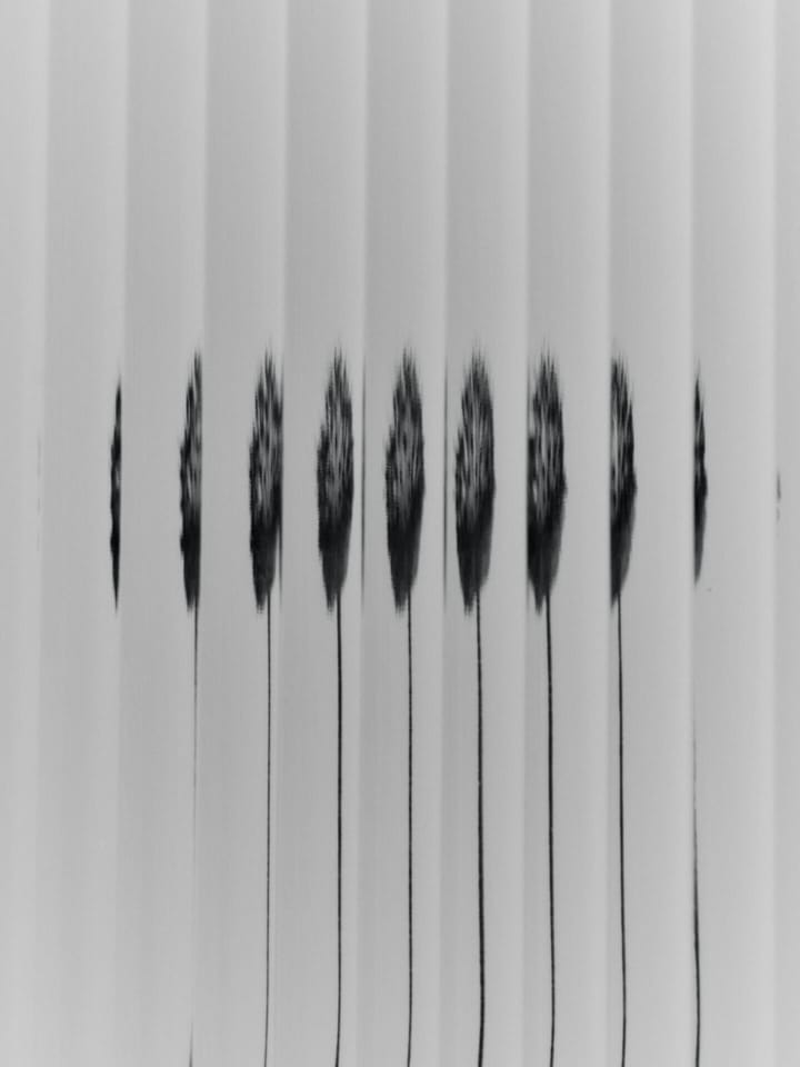 Haze vægskab 35x100 cm, Cashmere Ferm Living