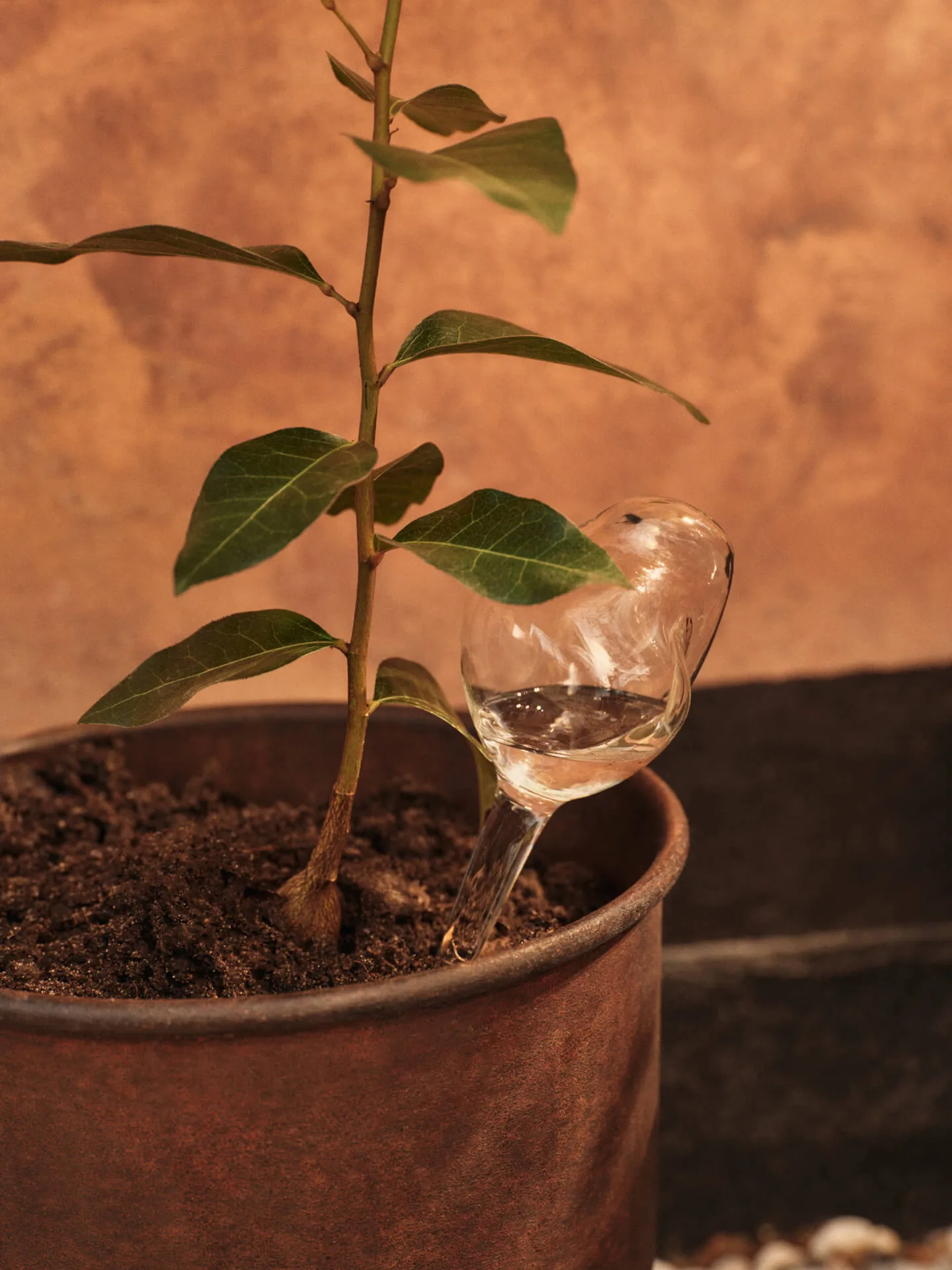 Mercury selvvander 2 dele, Clear, 12×18,5 cm Ferm Living