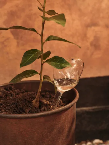 Mercury selvvander 2 dele - Clear, 12×18,5 cm - Ferm Living