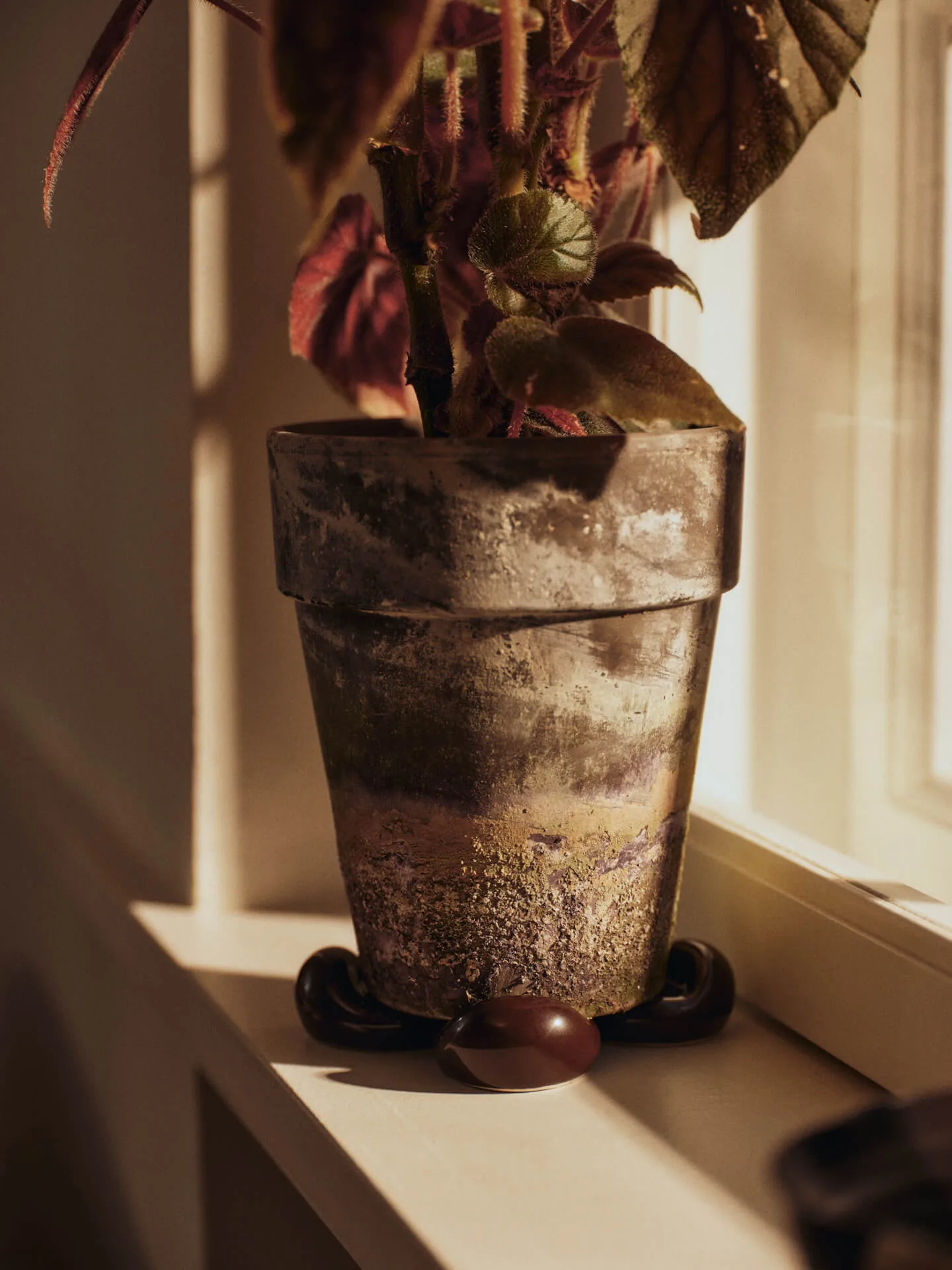 Nube fødder til krukke 4-pak, Carob brown Ferm Living