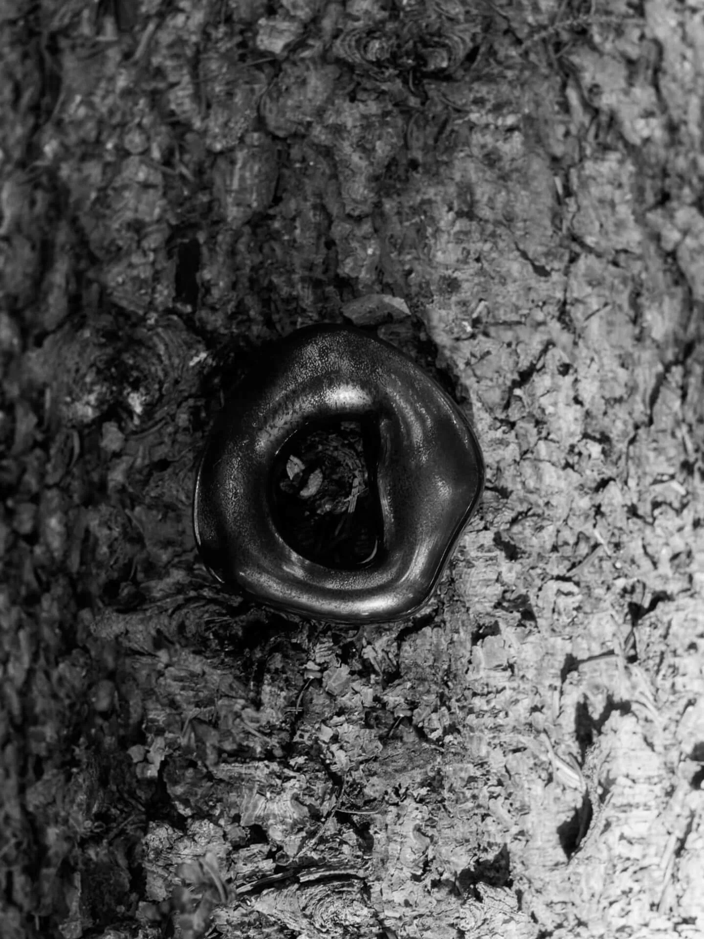 Orrith dekorationsophæng 2 dele, Rustic Bronze Ferm Living