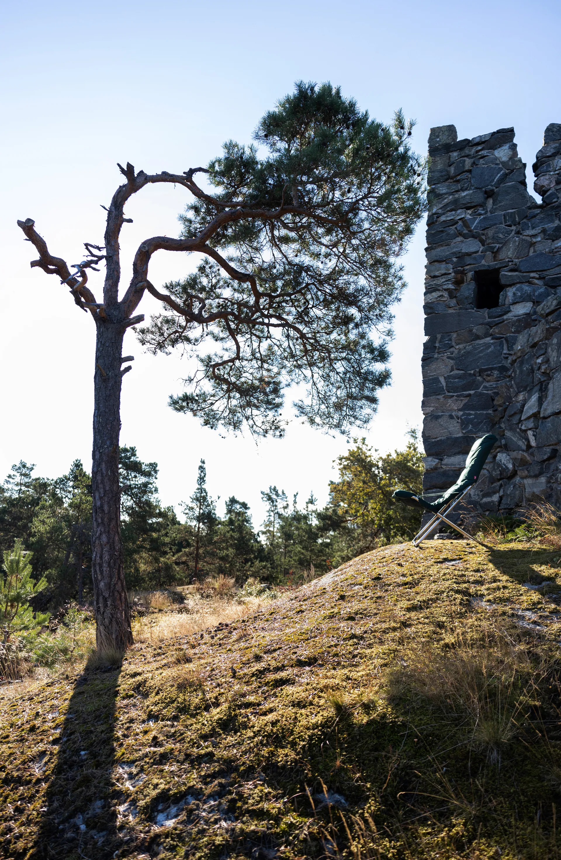 Fiesta Soft solstol, Stof dark green-aluminiumstativ Fiam