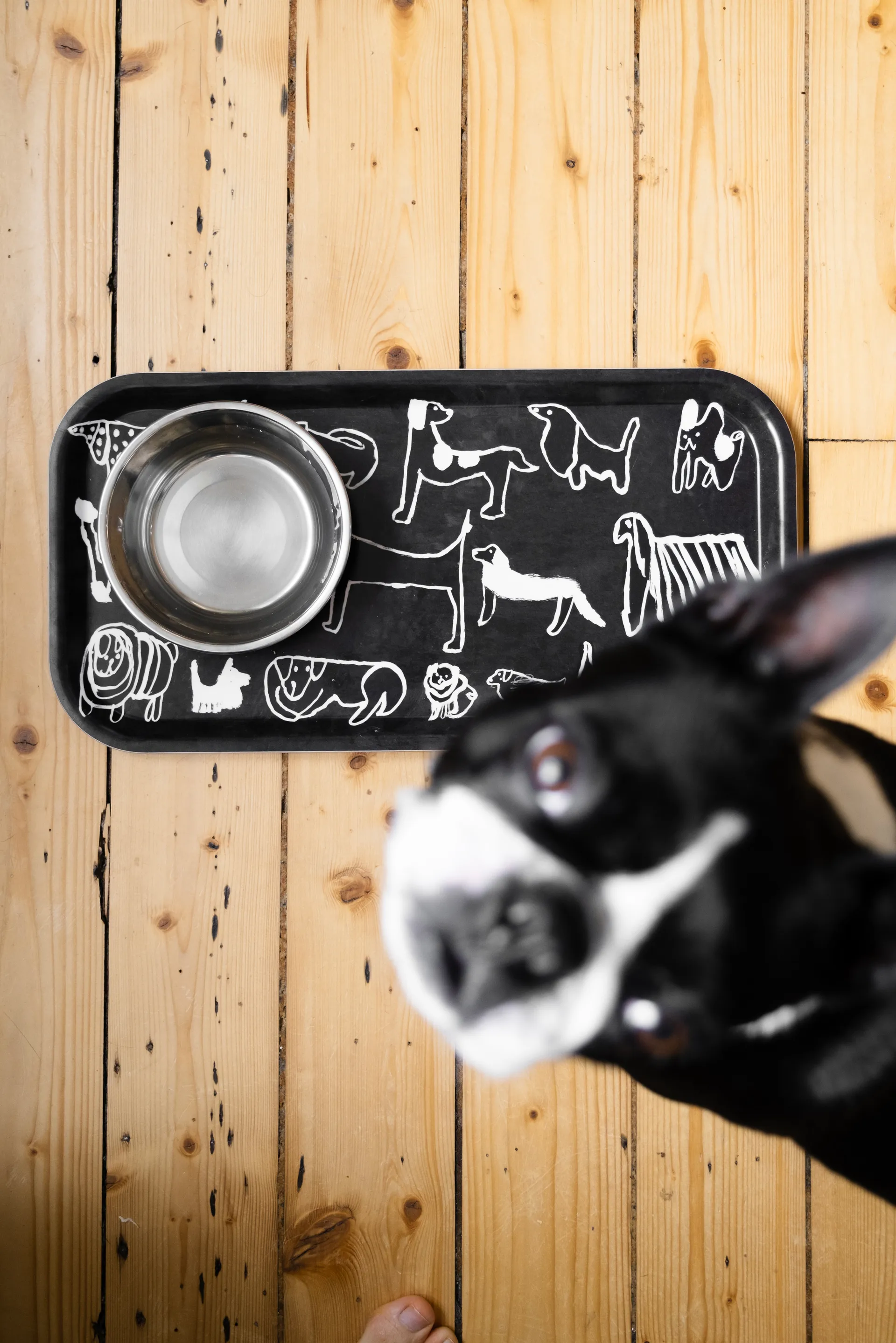 Dogs bakke 22x43 cm, Black-white Fine Little Day