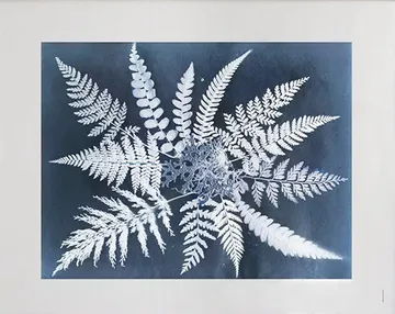 "Fern star" plakat - 40x50 cm - Fine Little Day