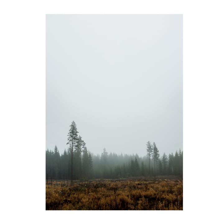 Skog plakat - 70 x 100 cm - Fine Little Day