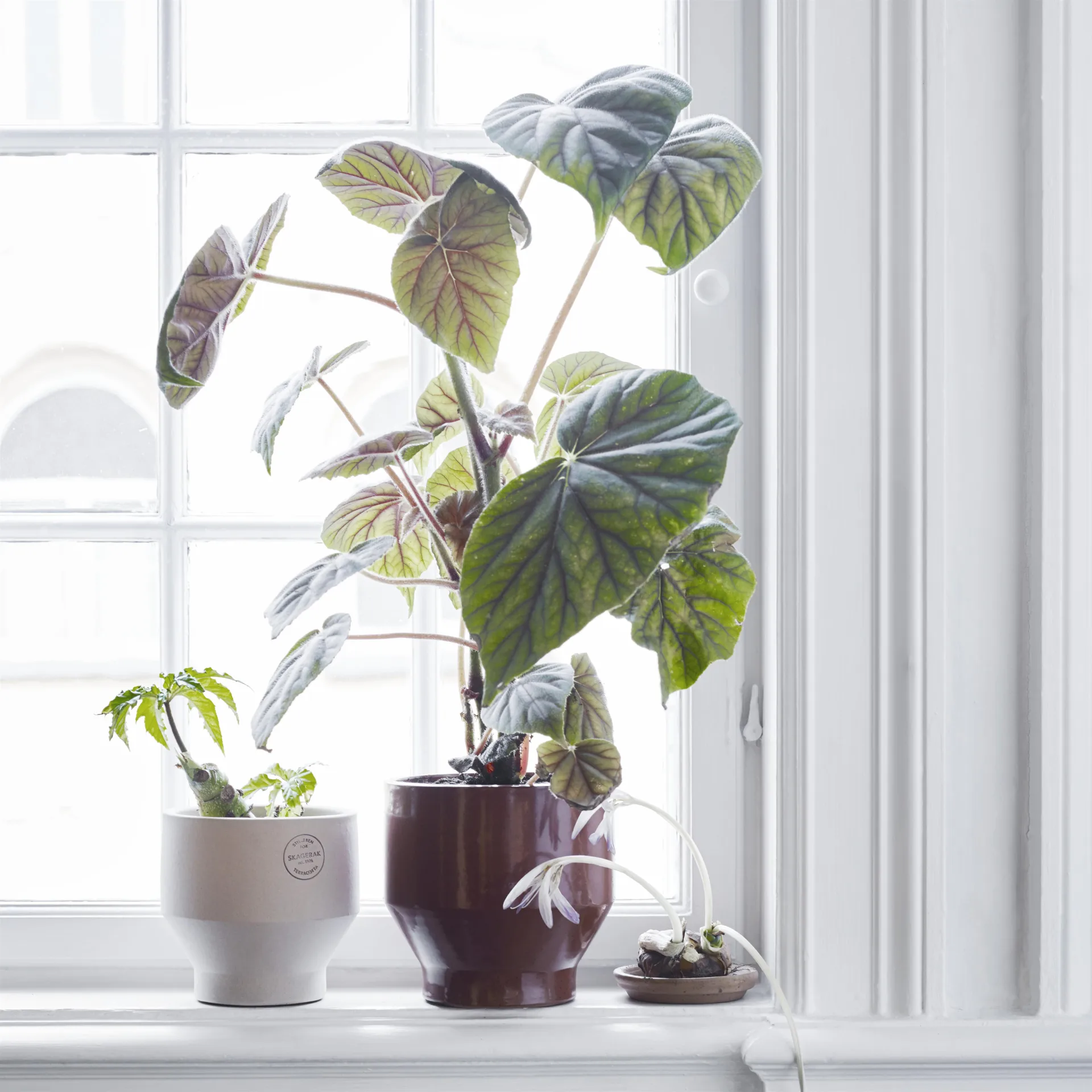 Edge urtepotte (indendørs) Ø18 cm, burned red (rød) Fritz Hansen