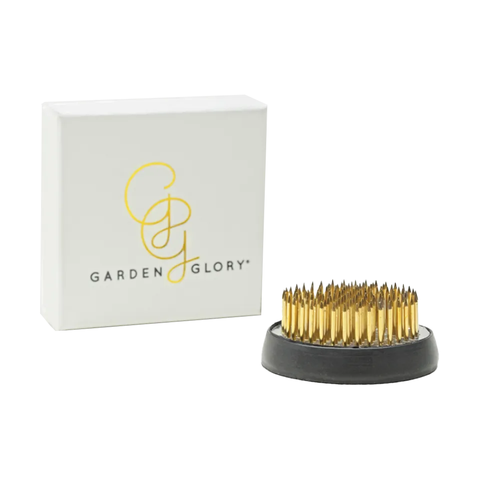 Garden Glory Flower Frogs blomsterfakir, Medium Garden Glory