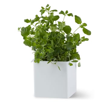 Flex Box lille 10,5 cm - Hvid - Gejst