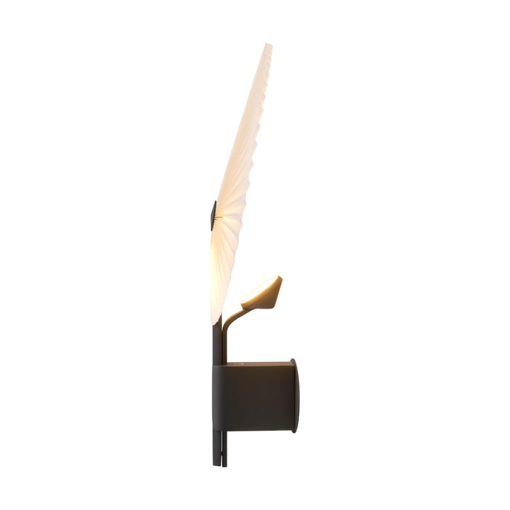 Liris væglampe, Black Gejst