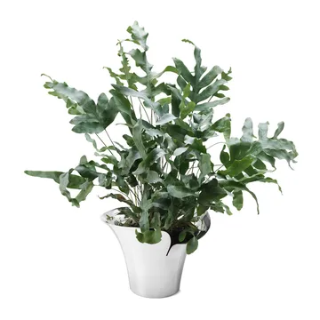 Bloom Botanica krukke - Ø19 cm - Georg Jensen