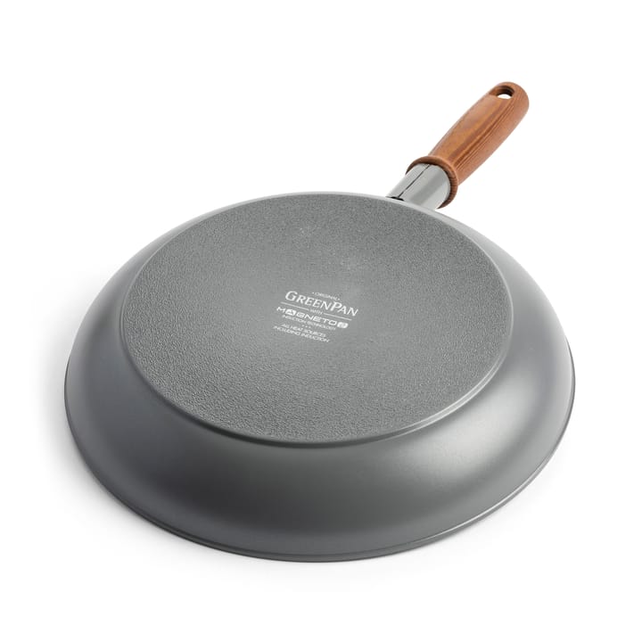 Mayflower Pro stegepande, 24 cm GreenPan