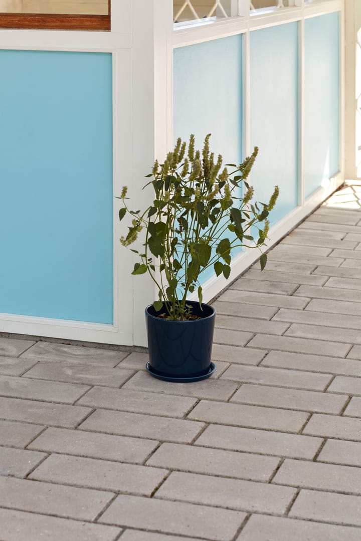 Botanical Family urtepotte XL Ø22 cm, Dark blue HAY
