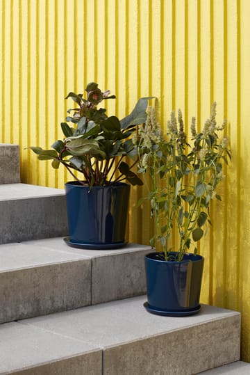 Botanical Family urtepotte XL Ø22 cm - Dark blue - HAY